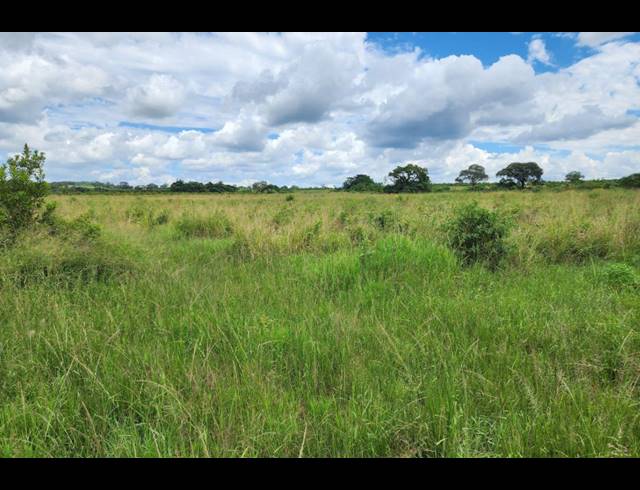 742,854M² FARM FOR SALE IN LEVUBU
